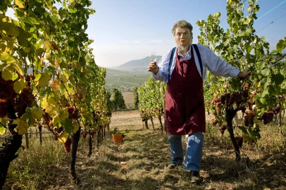 The Winemaker, obra de Marc Lathuilliere, integra o  Festival Internacional de Fotografia de Porto Alegre (FestFoto 2023)<!-- NICAID(15500396) -->