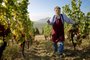 The Winemaker, obra de Marc Lathuilliere, integra o  Festival Internacional de Fotografia de Porto Alegre (FestFoto 2023)<!-- NICAID(15500396) -->