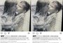 "Ela era sapeca, botava o terror na gurizada", brinca engenheiro civil gaúcho que aparece em foto de infância com Xuxa 