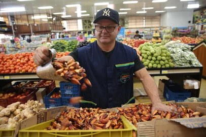 CAXIAS DO SUL, RS, BRASIL, 07/04/2025. Safra do pinhão será menor em 2025 e pouca quantidade reflete no preço dos supermercados. Sacolão Zimmermann. Na foto o comprador Luis Gauer que não tem grandes expectativas de revender muito mais barato que os R$16,99 atuais. (Porthus Junior/Agência RBS)<!-- NICAID(16011971) -->