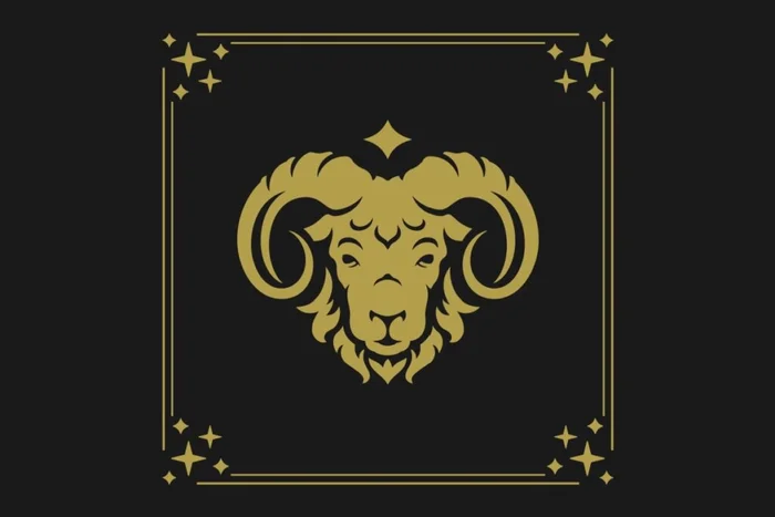 Vasya Kobelev / Shutterstock | Portal EdiCase