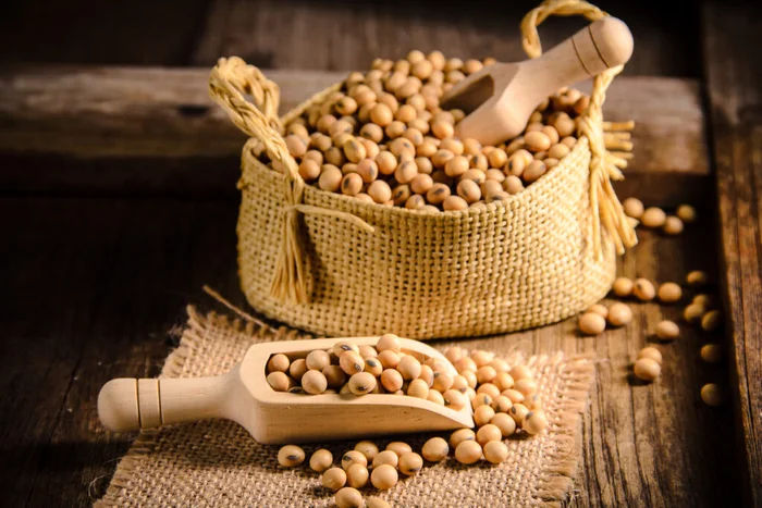 Anda Audy / Shutterstock | Portal EdiCase Anda Audy / Shutterstock | Portal EdiCase
