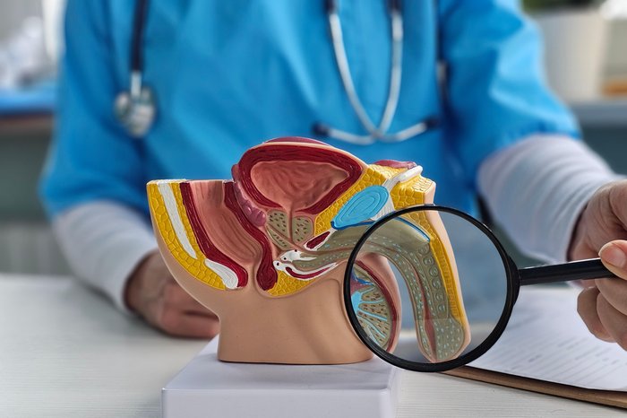 Nadzeya / 1175693693