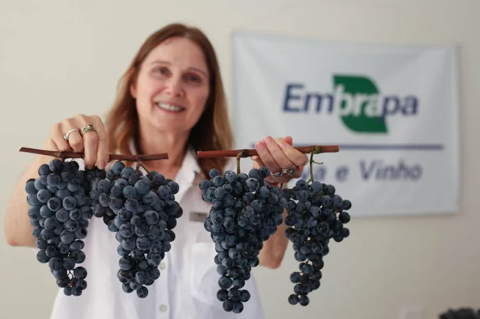 Ariéli Ziegler / Agencia RBS