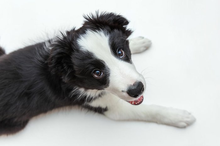 Юлия Завалишина / stock.adobe.com