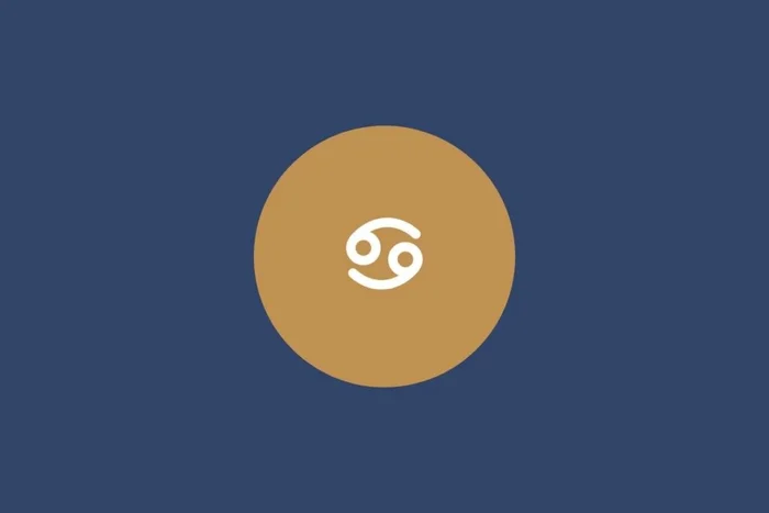 Ok Sotnikova / Shutterstock | Portal EdiCase