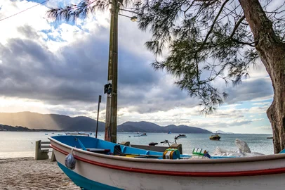 Naturestock / adobe.stock.com Adobe Stock - GaropabaFonte: 434995376<!-- NICAID(16186818) -->