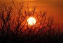 Terra estará mais distante do Sol em julho, mas distância não tem relação com temperaturas baixas ou problemas de saúde