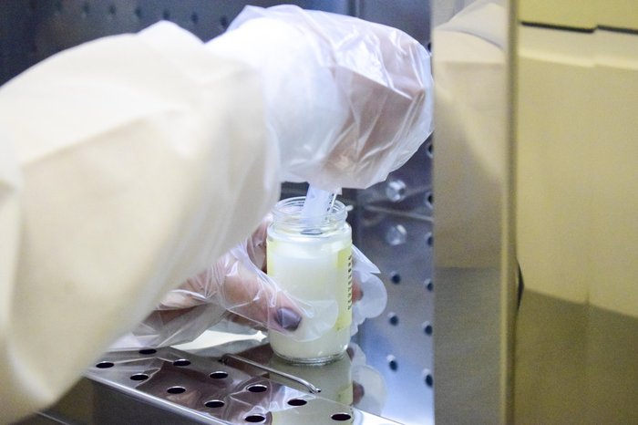 Divulgação / Reprodução Divulgação / Reprodução