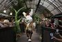 Desfile com roupas de açúcar e competição de bolos: Páscoa de Gramado divulga programação