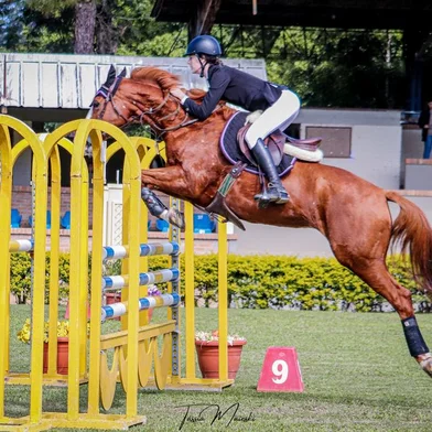A amazona caxiense Ana Carolina Snovarski Mari, 19 anos, representante da Hípica da Serra, participará do evento. Ele foi campeã gaúcha em 2022, na altura de 1,10cm e vice-campeã neste ano, na Sociedade Hípica Porto-alegrense, agora, na altura de 1,20cm.<!-- NICAID(15438160) -->