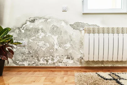 Damage caused by damp on a wall in modern house wabeno<!-- NICAID(15807663) -->