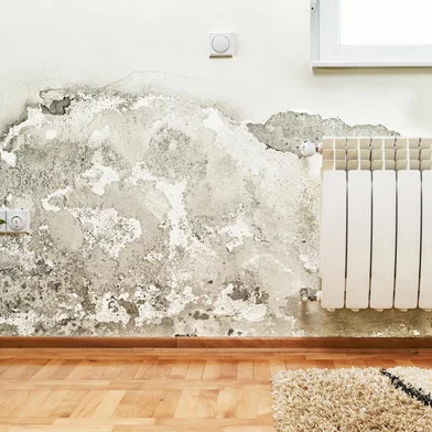 Damage caused by damp on a wall in modern house wabeno<!-- NICAID(15807663) -->
