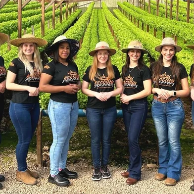 Candidatas a Soberanas da  Festa do Agricultor de Fazenda Souza<!-- NICAID(15491556) -->