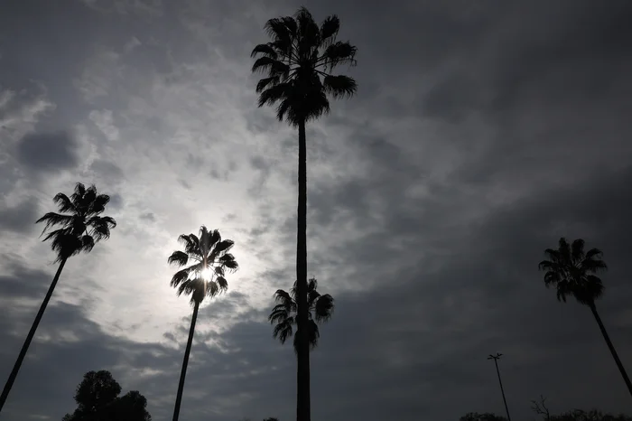 Jonathan Heckler / Agencia RBS