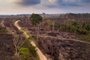 Drone aerial view of deforestation in the amazon rainforest.Local: Novo ProgressoFonte: 385374743<!-- NICAID(15185452) -->