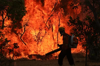 Brasília, DF 15-09-2024 Um Incendio atingiu o Parque Nacional de Brasília. Bombeiros e populares tentavam conter as chamas Foto: Fabio Rodrigues-Pozzebom<!-- NICAID(15867392) -->