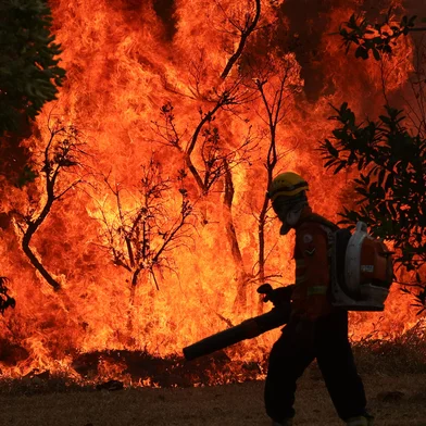 Brasília, DF 15-09-2024 Um Incendio atingiu o Parque Nacional de Brasília. Bombeiros e populares tentavam conter as chamas Foto: Fabio Rodrigues-Pozzebom<!-- NICAID(15867392) -->