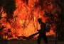 Superfície queimada por incêndios cresce 79% em 2024 no Brasil