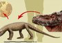 Paleontólogo gaúcho descobre fóssil de réptil que viveu há 237 milhões de anos, antes dos dinossauros