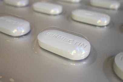 Ivermectin generic drug pills in blister pack, close-up 3D renderingGeneric drug pills in blister pack, close-up 3DFonte: 340328173<!-- NICAID(14544581) -->