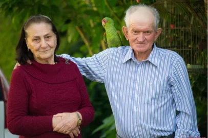 Justiça Federal determina a devolução de papagaio apreendido com casal de idosos em Campestre da Serra. Ave, batizada de Rico, foi resgatada pela família há oito anos e participou das fotos de 50 anos de casamento de Terezinha e Florentino Goulart, em 2018.<!-- NICAID(14858085) -->