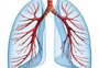 “Sensação de facada no tórax”: os sintomas da pneumonia e como diferenciar de gripes e resfriados