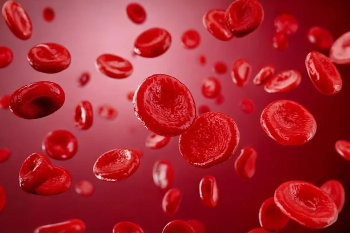 Suan Taang / Shutterstock | Portal EdiCase Suan Taang / Shutterstock | Portal EdiCase