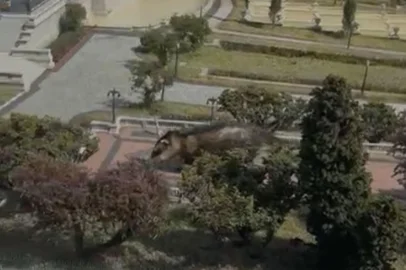 Um visitante inusitado chamou a atenção na tarde desta terça-feira (19) no parque temático Mini Mundo, em Gramado. Um gambá adentrou o local e fez um "passeio" pelas miniaturas, provocando risos até entre os funcionários, que registraram o momento e postaram vídeo nas redes sociais. <!-- NICAID(16105396) -->