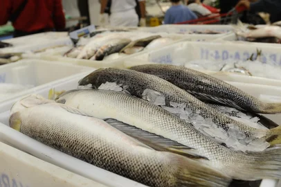 Venda de peixes no hipermercado Big.<!-- NICAID(6968537) -->