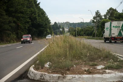 Mato alto nos canteiros da RS-453, no acesso oeste de Caxias<!-- NICAID(16239558) -->