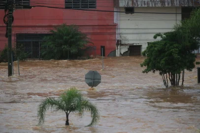 Eldorado do Sul, RS, Brasil, 03/05/2024 - Situação da enchentes em Eldorado do Sul - Foto: Ronaldo Bernardi/Agência RBS<!-- NICAID(15752932) -->