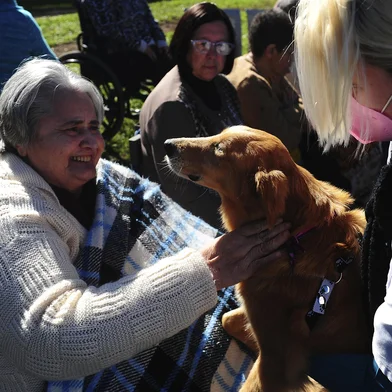 CAXIAS DO SUL, RS, BRASIL, 15/06/2022. ONG leva cães para visitar idosos do Lar da Velhice São Francisco de Assis. Iniciativa será realizada quinzenalmente e pretende espalhar o projeto para outras instituições. (Bruno Todeschini/Agência RBS)<!-- NICAID(15125000) -->