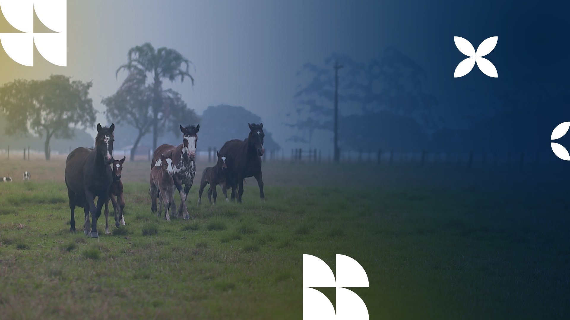 Bem+ Agro: nova plataforma coloca o campo em destaque | Bem mais Agro
