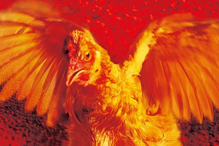 Globo Filmes / Divulgação