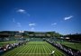 Wimbledon 2025: onde assistir ao Grand Slam britânico