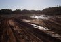 Parque Harmonia: veja fotos antes e depois do início de obras