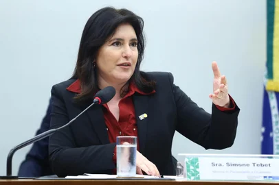 Audiência Pública - Debater sobre a LDO/2024. Ministra do Planejamento e Orçamento - Ministério do Planejamento e Orçamento, Simone Tebet.<!-- NICAID(15526757) -->