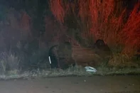 Quatro pessoas morrem em acidente na BR-392, em São Pedro do Butiá<!-- NICAID(16084078) -->