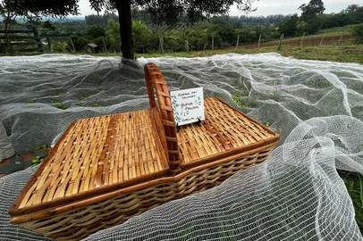 Estância das Oliveiras<!-- NICAID(15360915) -->