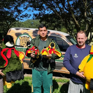 No intuito de promover a solidariedade entre o zoológicos do estado, o Gramadozoo realiza a doação bichos de pelúcias para a campanha de ajuda aos funcionários dos Zoológicos de Sapucaia e do Mini Zoo de Canoas atingidos pelas enchentes.<!-- NICAID(15765902) -->