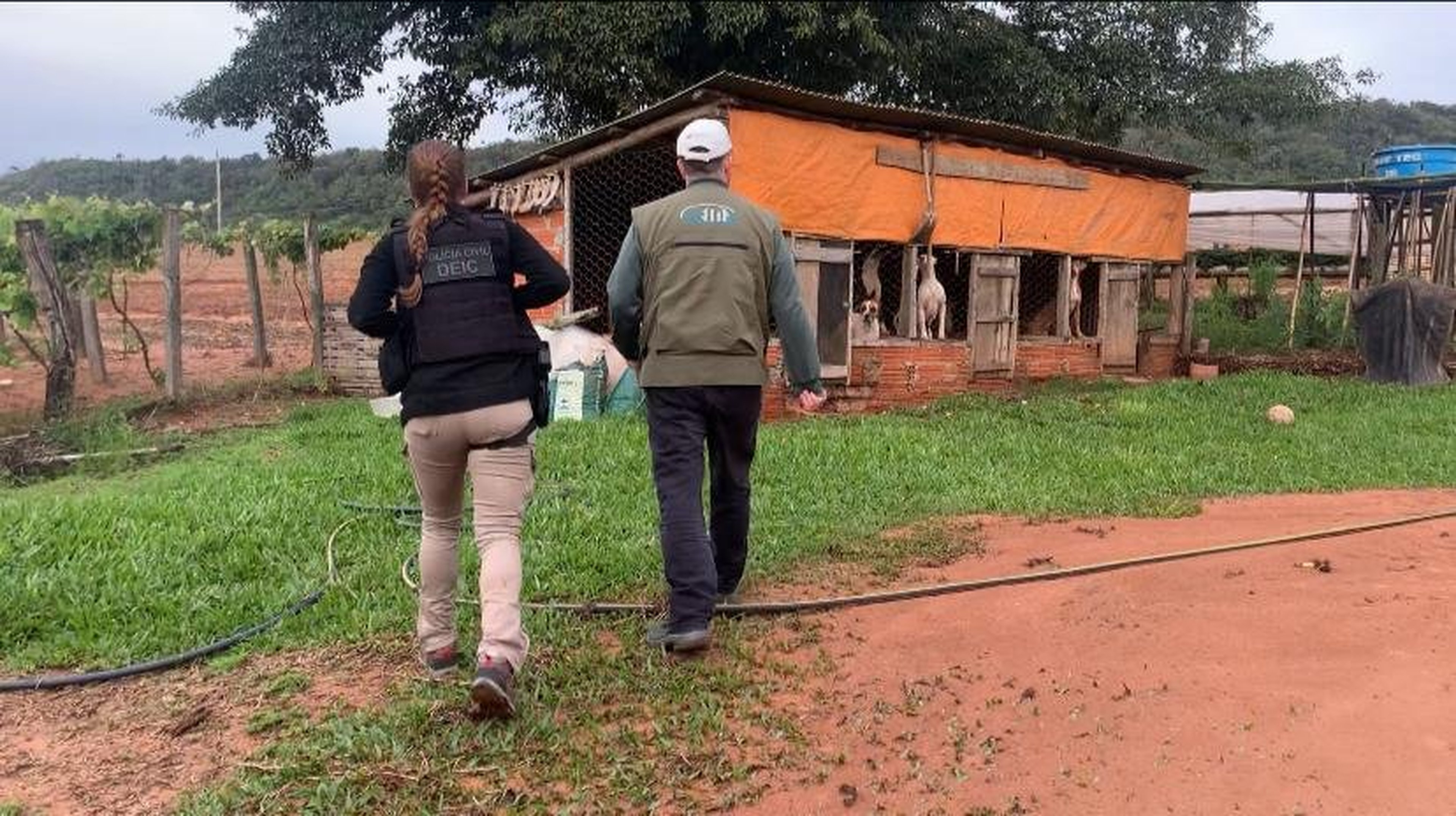 Polícia Civil/Divulgação