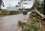 Defesa Civil alerta para risco de deslizamento de terra e de inundações em 24 municípios do RS
