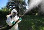 Vigilância em Saúde aposta em conscientização, eliminação de criadouros e aplicação de inseticida 