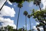Inmet alerta para onda de calor que pode causar temperatura acima dos 40ºC no RS