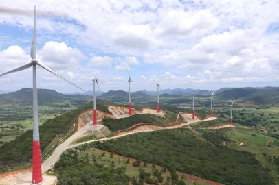 Tradener<!-- NICAID(16154629) -->