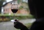 Acordo prevê R$ 10 milhões para promoção do vinho nacional no mercado externo