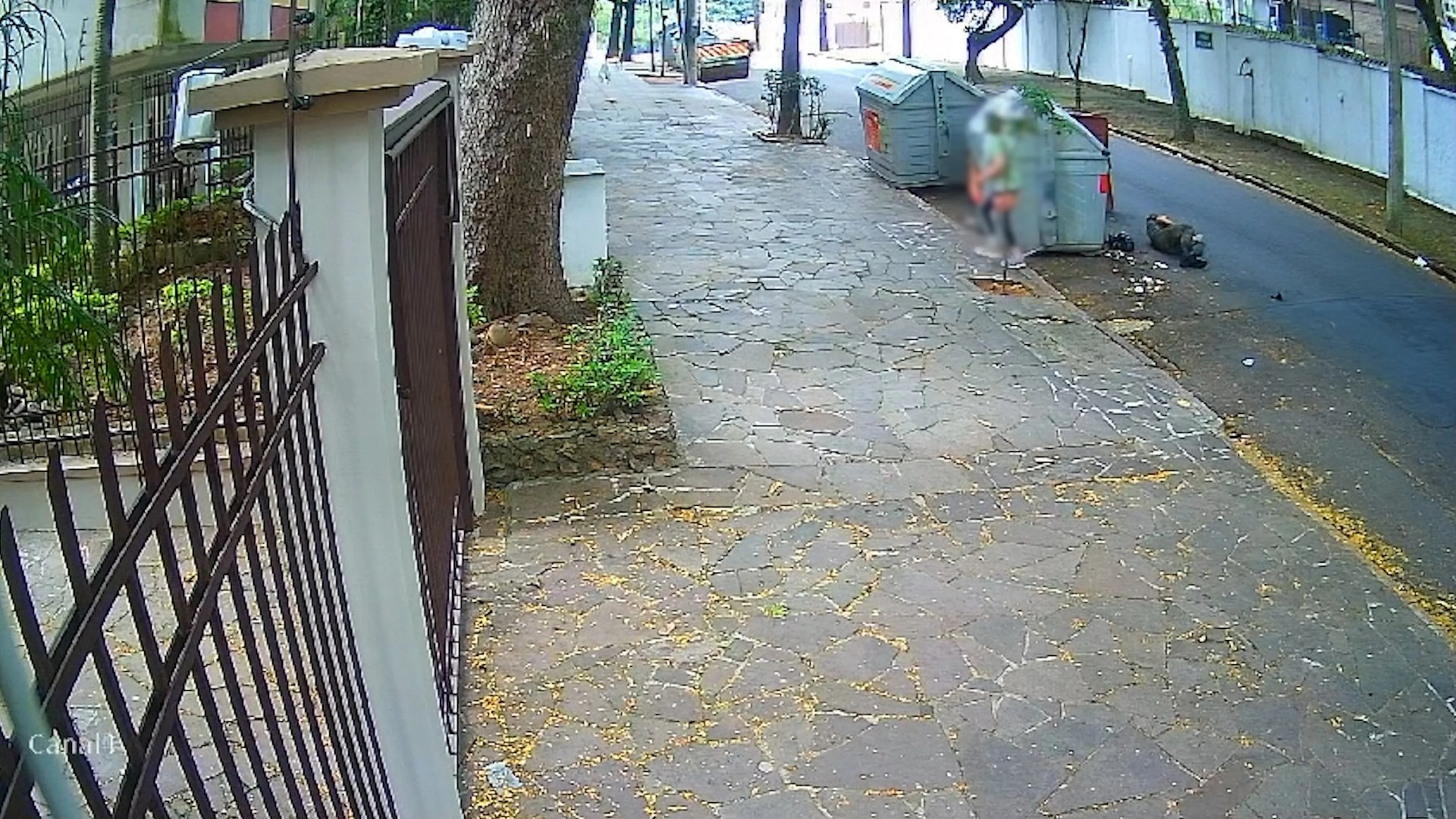 Polícia Civil/Reprodução