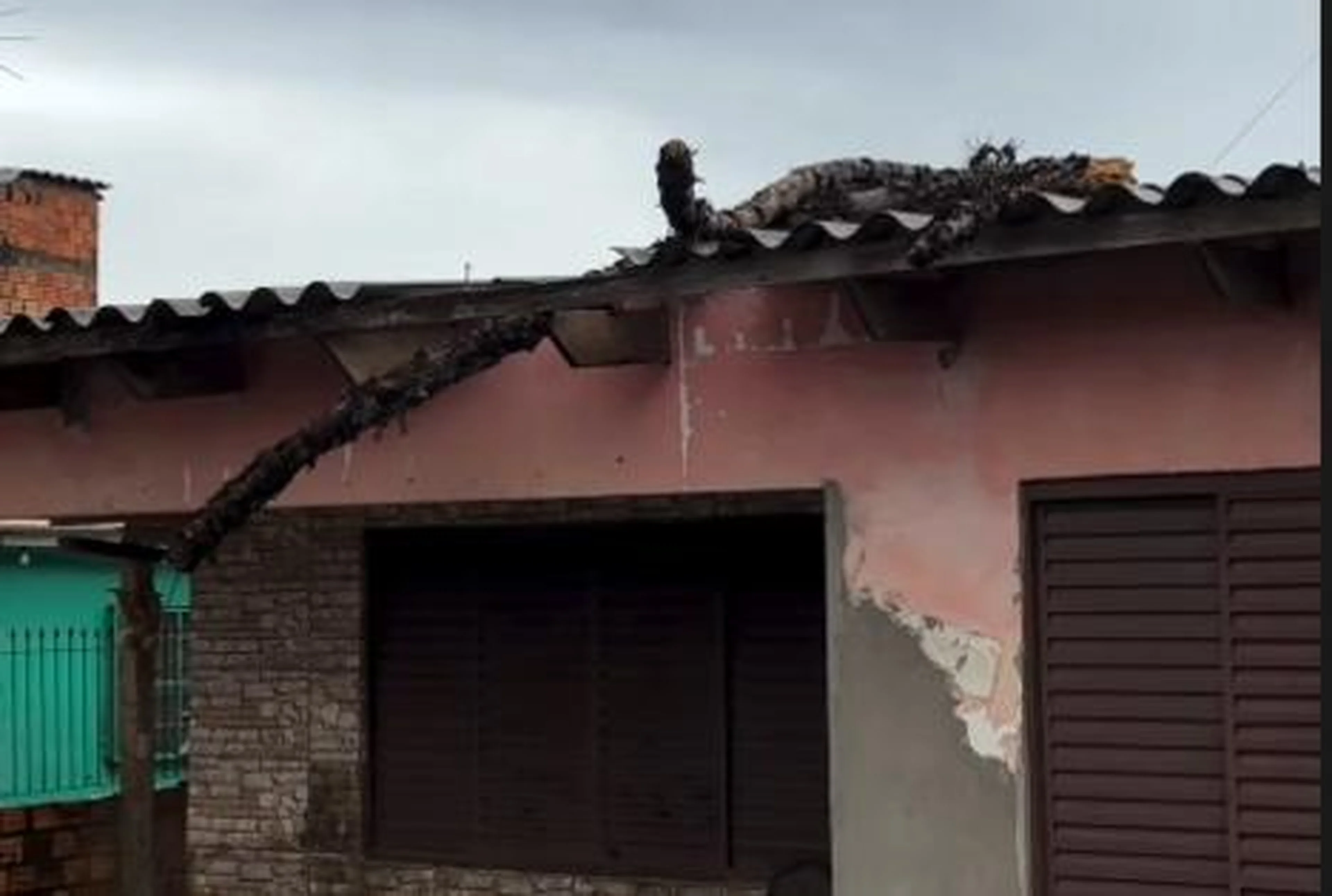 Divulgação/Prefeitura de Canoas