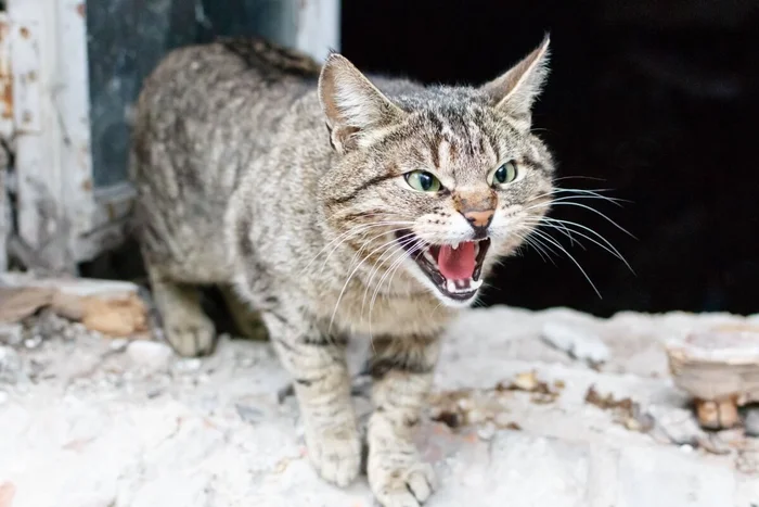 Artem Chekharin / Shutterstock</div>
<div> | Portal EdiCase Artem Chekharin / Shutterstock</div>
<div> | Portal EdiCase